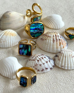 The Shore