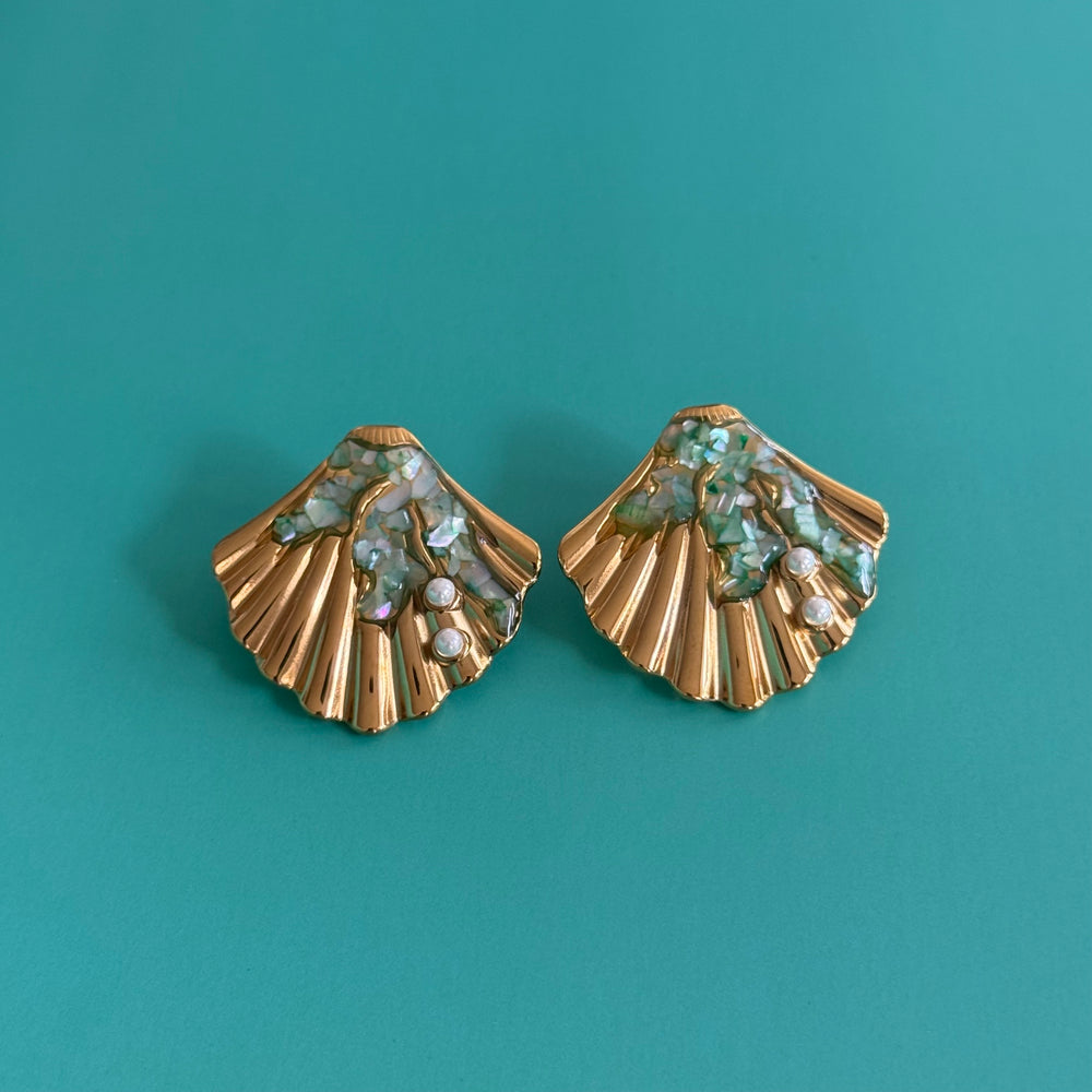 Seashell Studs