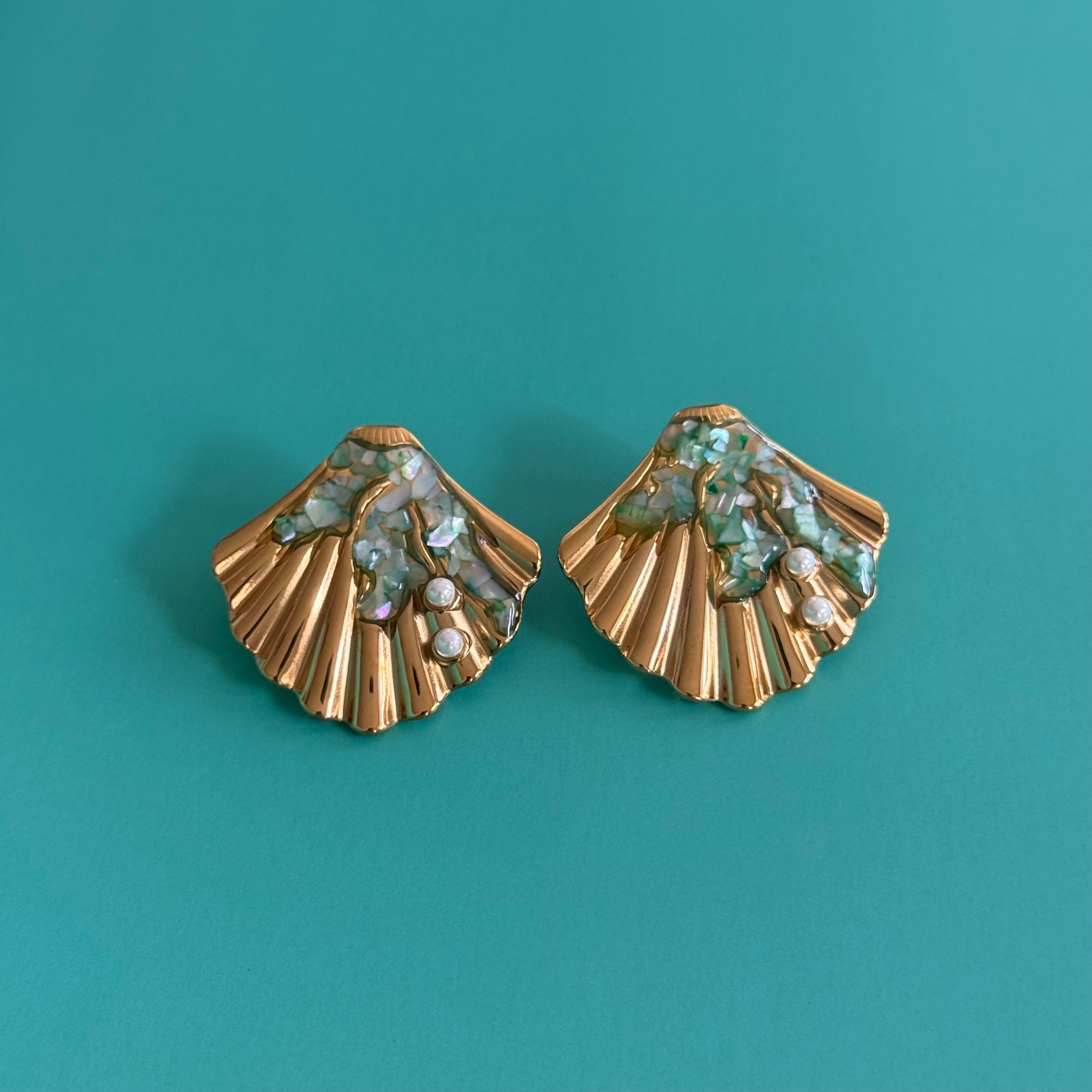 Seashell Studs