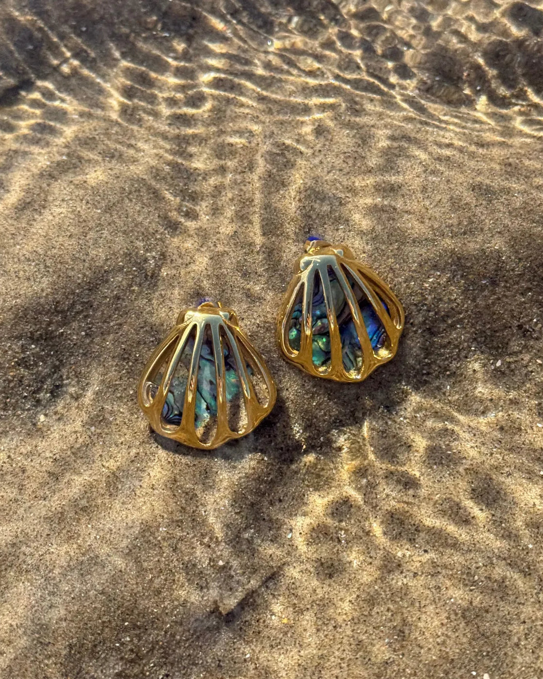 Parisa Signature - The Clamshell