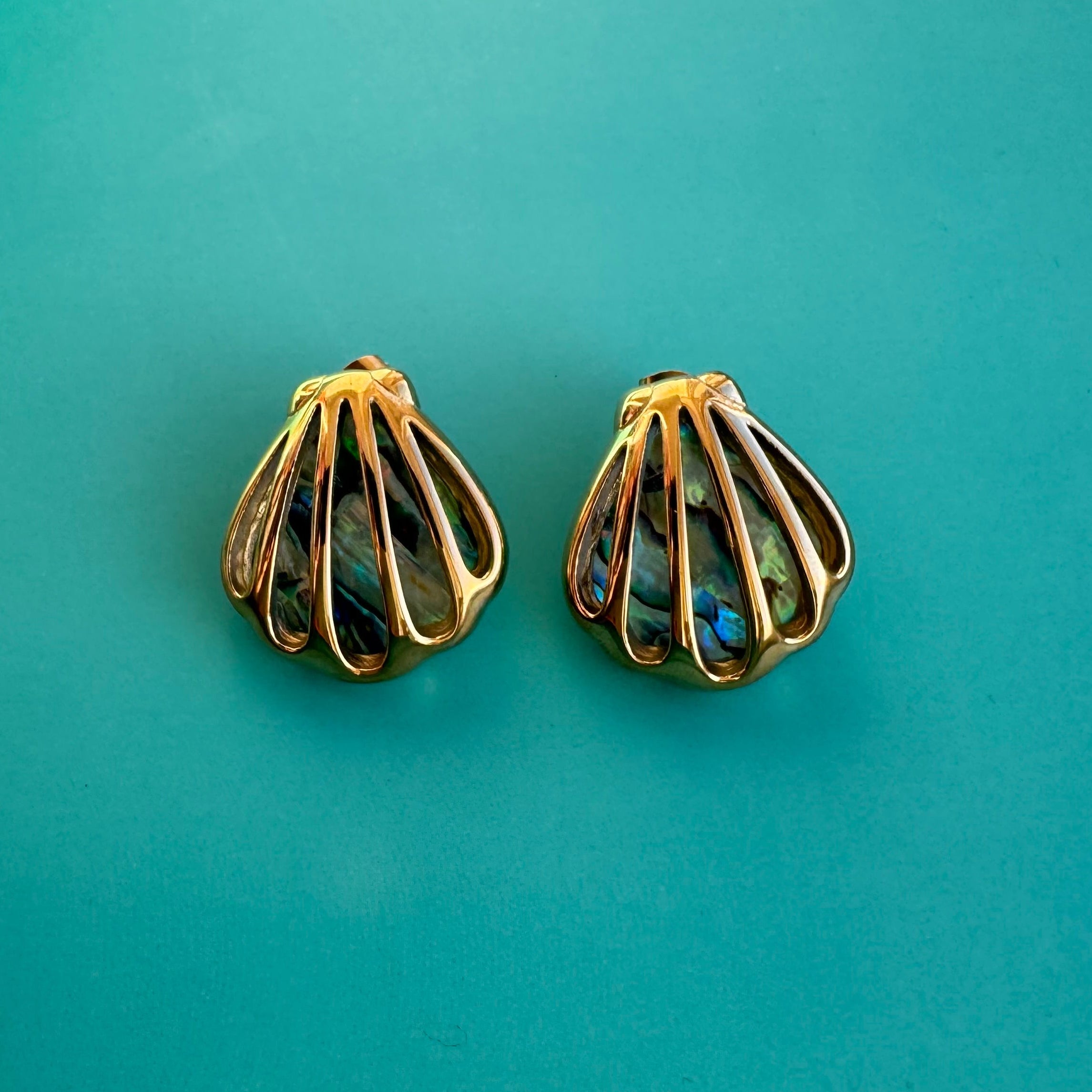 Clamshell Studs