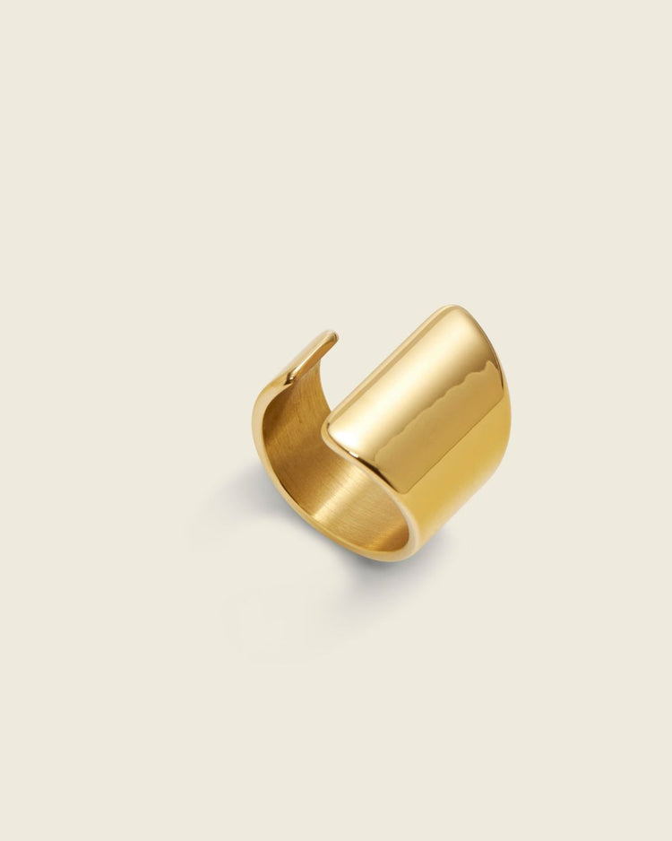 The Golden Blade | Nature-Inspired 18ct PVD Gold-Plated Ring