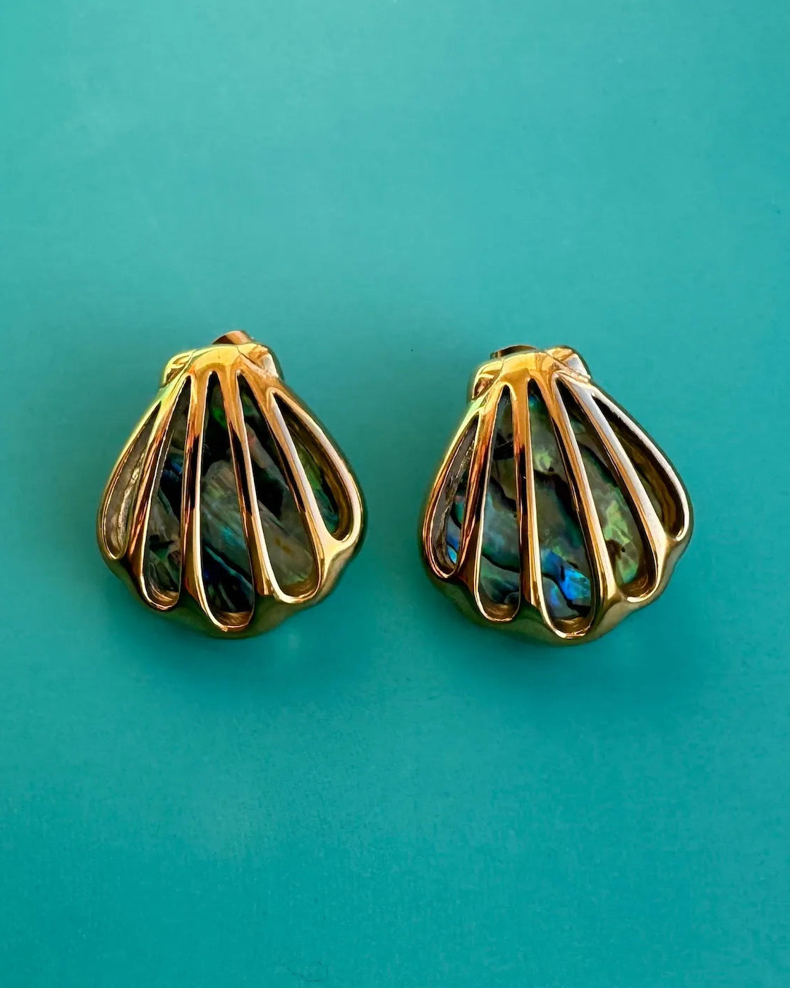 Parisa Signature - The Clamshell