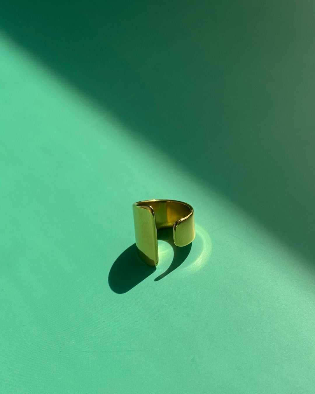 The Golden Blade | Nature-Inspired 18ct PVD Gold-Plated Ring