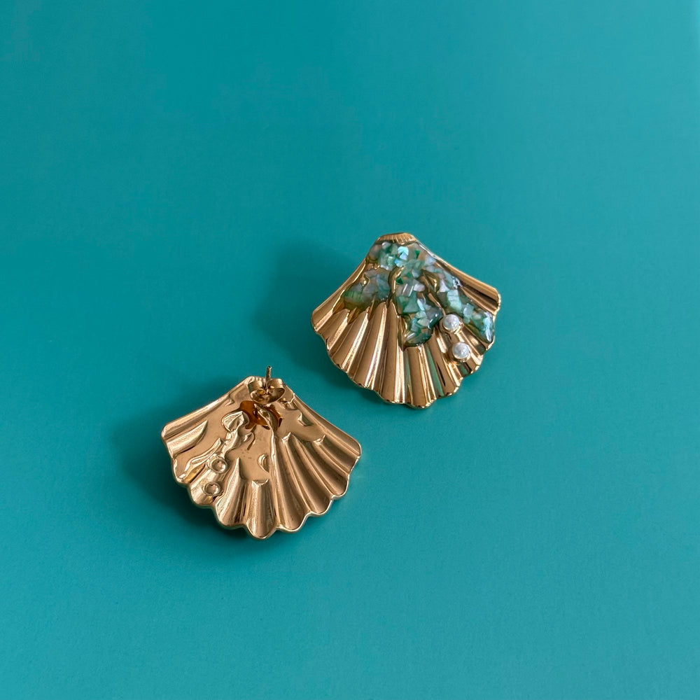 Seashell Studs