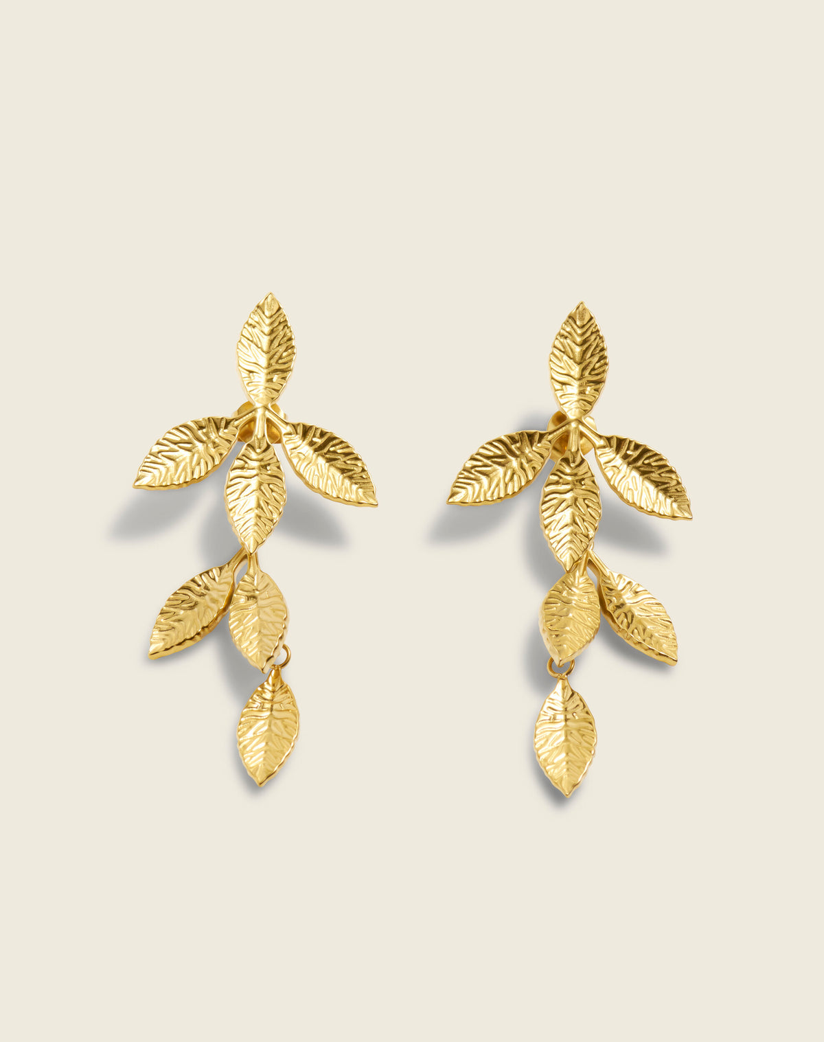 The Shape Of Ferns