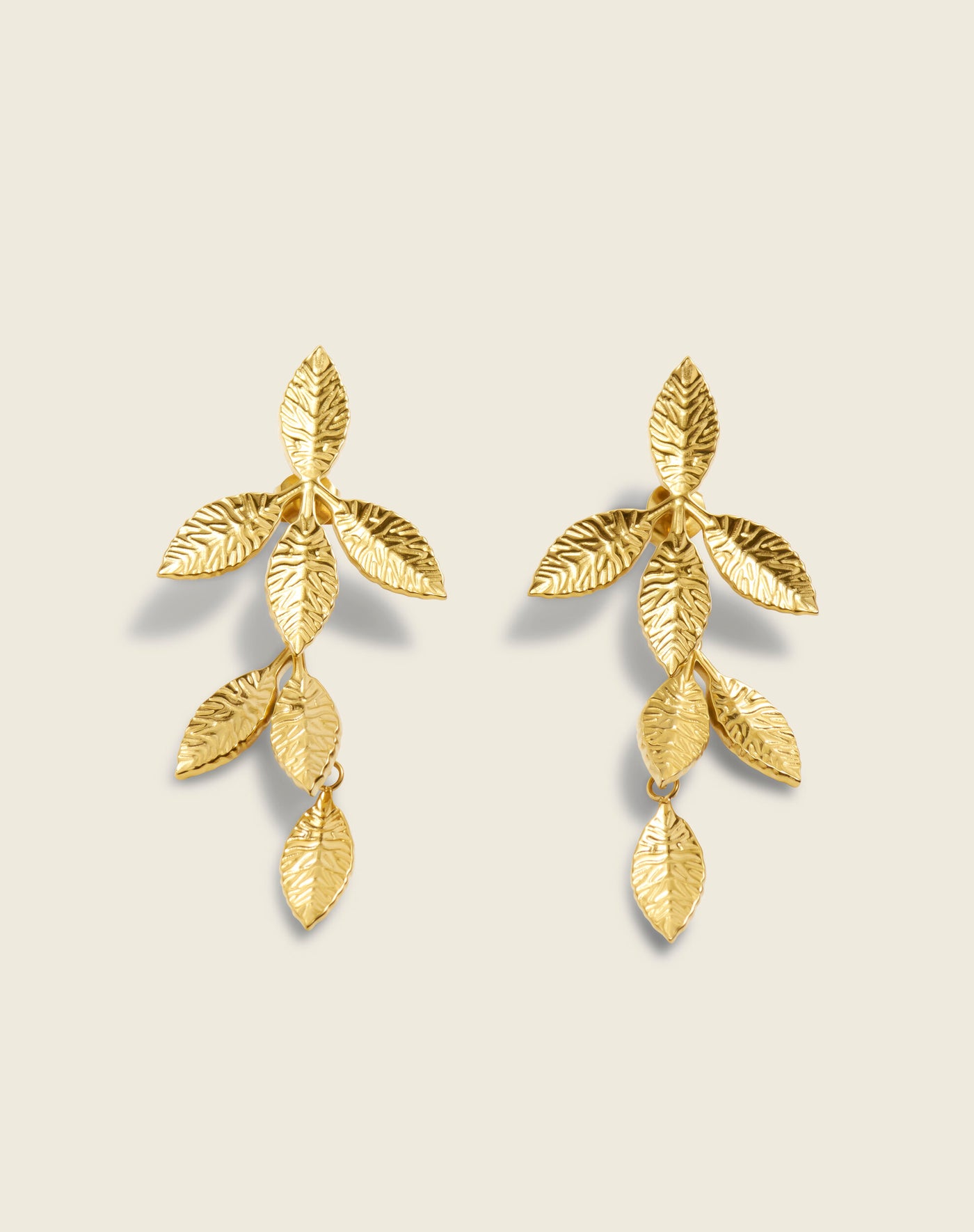 The Shape Of Ferns