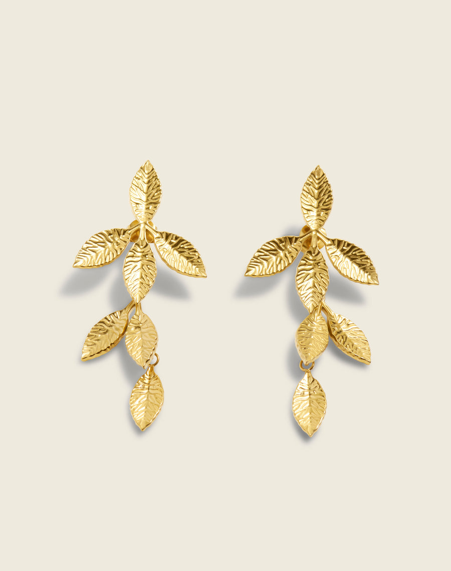 The Shape Of Ferns