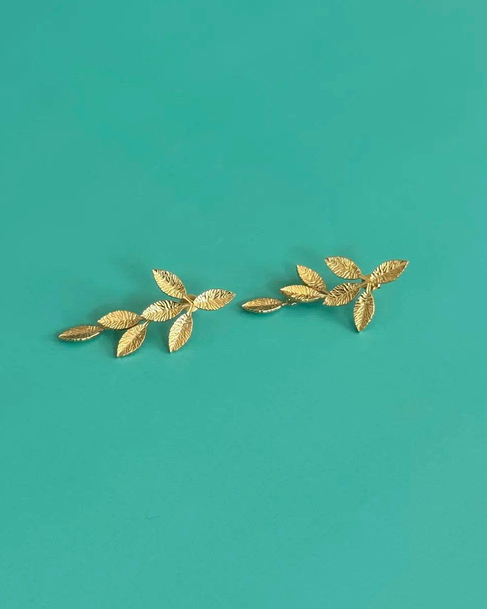The Shape Of Ferns